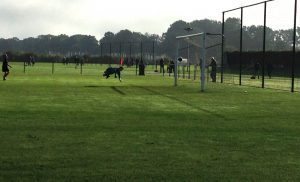 FC Zutphen JO13-1